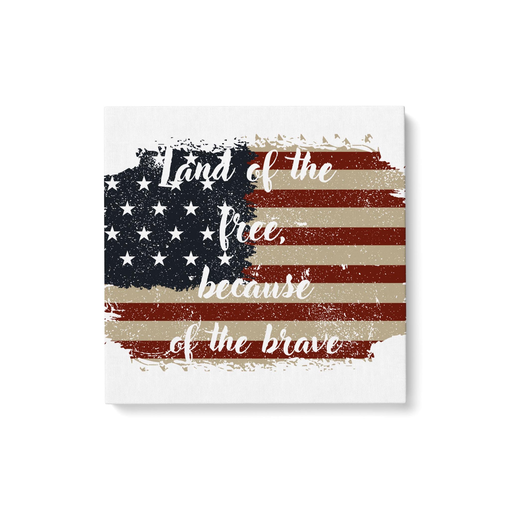 Land of the free - Push Pin Canvas Map